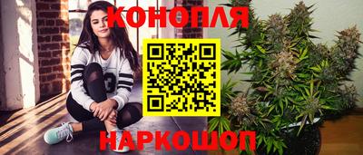 кокс Можга