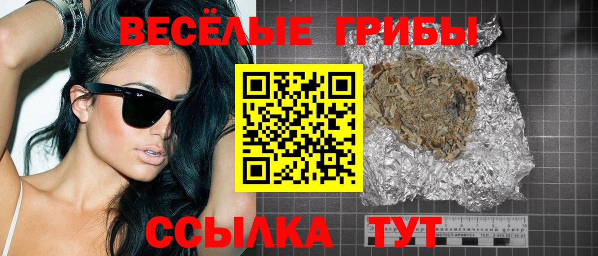 Псилоцибиновые грибы Psilocybine cubensis Иркутск